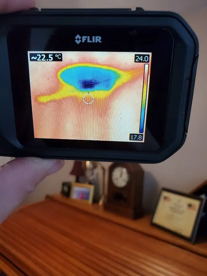 Thermal imaging inspection for water damage in Satsuma