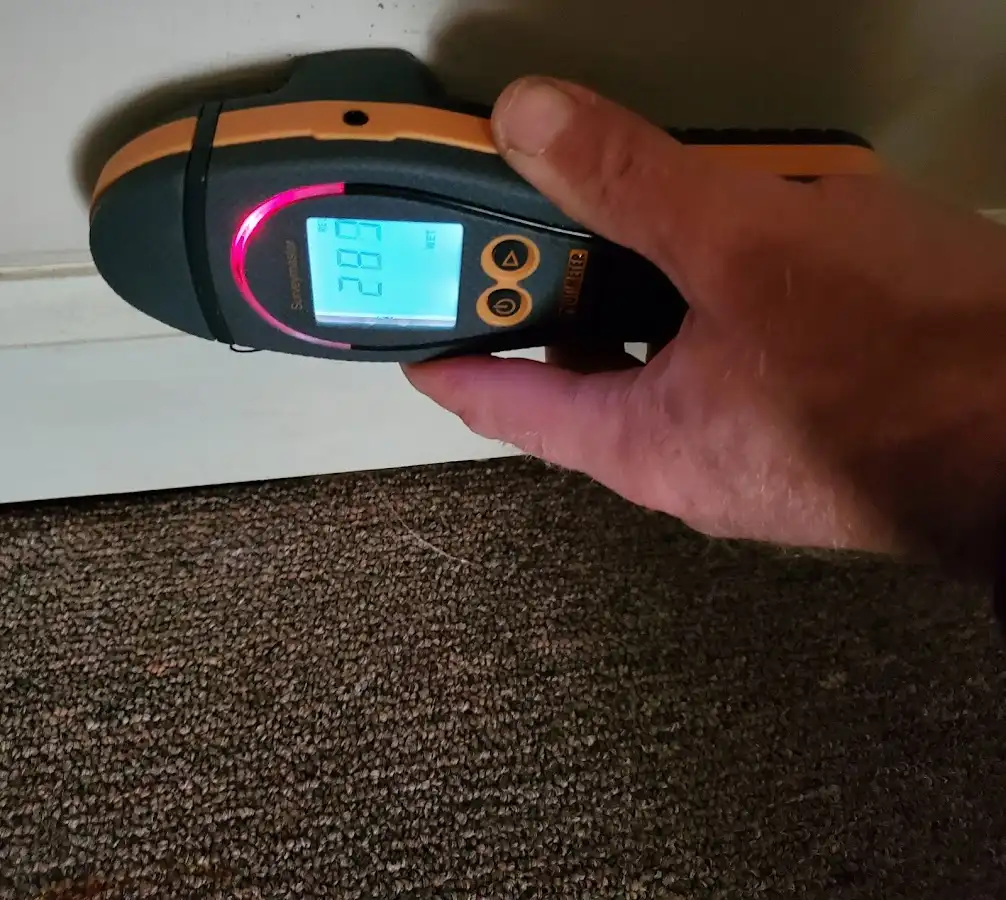 Moisture detection at baseboard during Sewage Cleanup & Sanitation in Satsuma